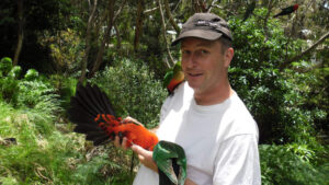 Wild King Parrots and the Whispering State means amazing fun and relaxation