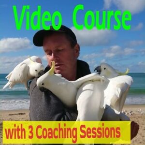 LearnWhispering 3 Session coaching comes with the LearnWhispering Video Course to assist with practical application in life. Upgrading your core life skills is best with expert coaching