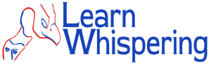 Learn Whispering for core life skills Jedi Style the operation manual for a great successful happy life