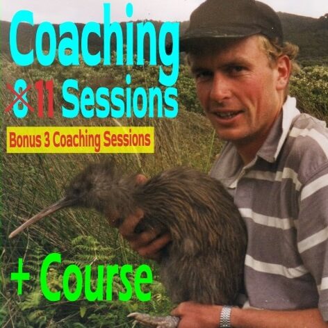 Buy 11 (8 + bonus 3) LearnWhispering Coaching sessions with video Course