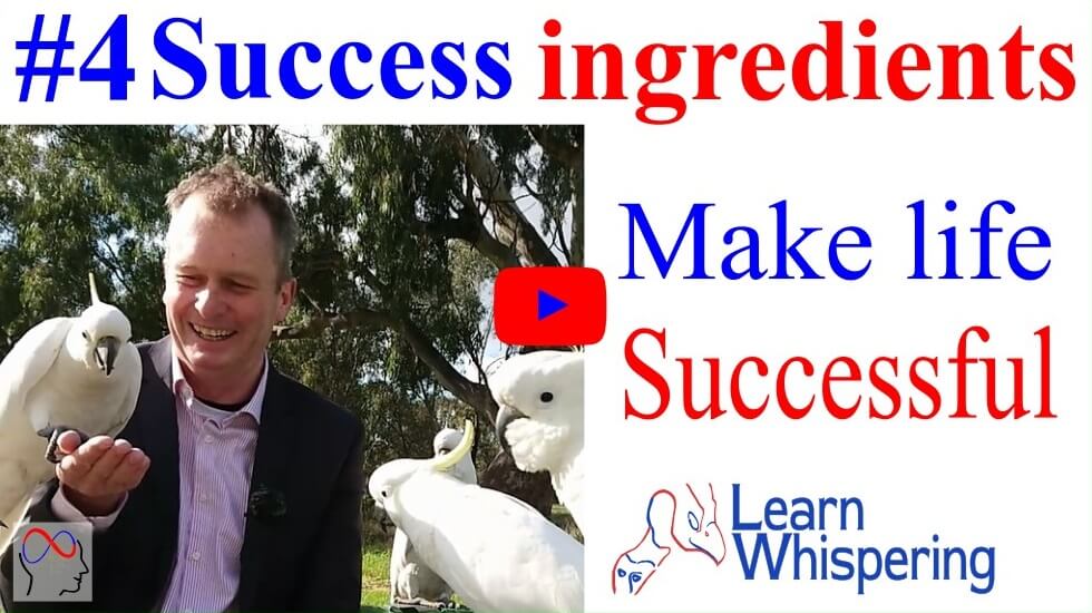 Learn Whispering 4 success ingredients are the core life skills to whisper, study, perform at your job and deal with life's tough stuff.