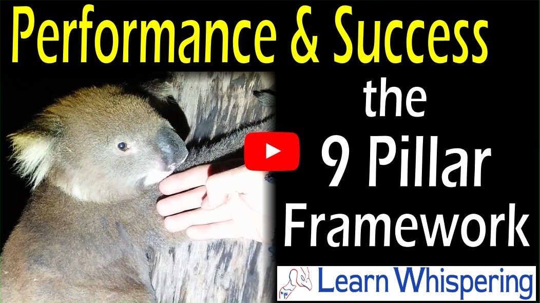 The 9 Pillar framework at Learn Whispering is the core structures that lead to a Life of Success as its the structure of how we work. It even works with huge Koalas so they are friendly