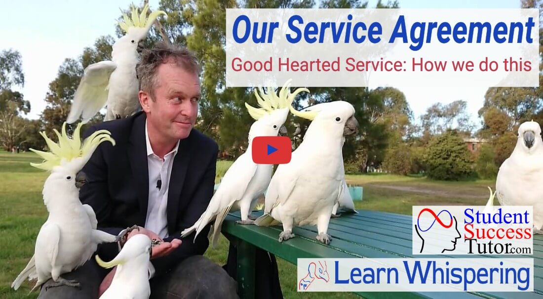 Our Service Agreement with Jason Hopkinson for good hearted relating. TnCs take presidence.